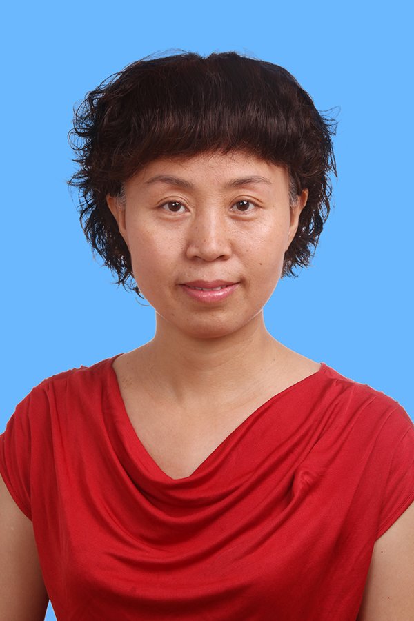 《环球体育App下载发展研究》